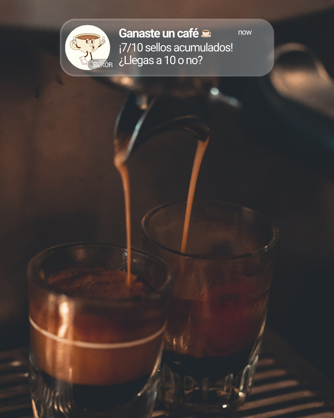 Tarjeta de lealtad digital Bexor en Apple Wallet y Google Pay - Ejemplo 4